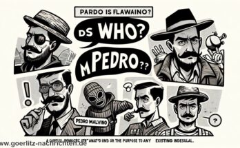 Wer ist Pedro Malvino? Ein behutsamer Einblick in seinen Werdegang
